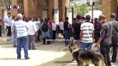 بالفيديو.. تفتيش موظفي الضرائب بالكلاب البوليسية على بوابات «الفسطاط»