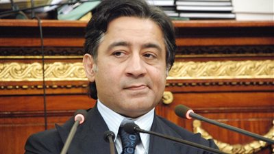 «أشهر رجال الأعمال» المرشحين لبرلمان 2015.. «أحمد عز» عن دائرة السادات بالمنوفية.. «سحر طلعت مصطفى» و«سعداوى ضيف» بالإسكندرية..«حمدي قريطم» بالبحيرة..