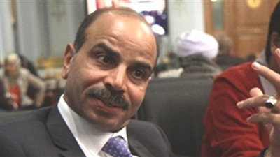 «زراعة النواب» تناقش أزمة تدهور صناعة الدواجن