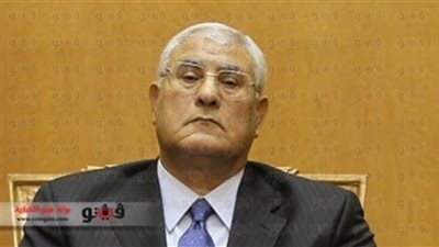 اليوم..عدلي منصور يستقبل وفدًا إماراتيًا بقصر الاتحادية