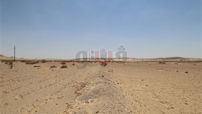 محافظة قنا تستعيد خلال يومين 126 فدانا من أراضي الدولة (صور)