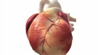 9 أسباب تؤدي إلى الإصابة بقصور الشريان التاجى