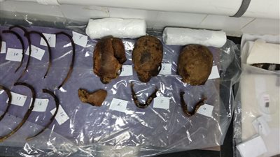 10 صورة ترصد معالجة وترميم الهياكل العظمية المكتشفة بتابوت الإسكندرية