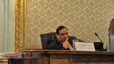 خبير اقتصادى يطالب بتنمية سيناء وحل المشكلة الصومالية