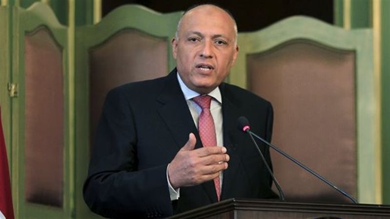 سامح شكرى وزير الخارجية
