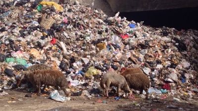 «إمبابة» خارج حسابات المسئولين بالجيزة.. «تقرير»