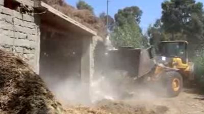 إزالة تعديات على 29 ألف متر مربع من أملاك الدولة بدمياط (فيديو)