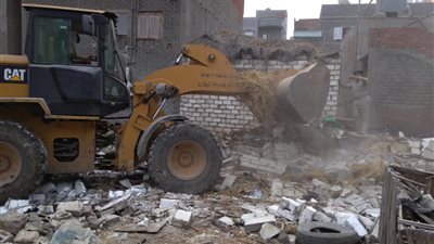 استرداد إزالة التعديات على 87 فدانا من أراضي الدولة في الدقهلية