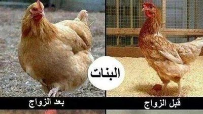 ساخرون: حال البنات والشباب قبل وبعد الزواج