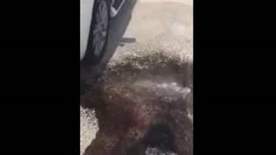 بالفيديو.. لحظة غليان وقود داخل سيارة بسبب ارتفاع درجة الحرارة