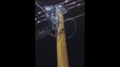 بالفيديو.. لحظة إنقاذ قطة علقت فوق عمود كهرباء