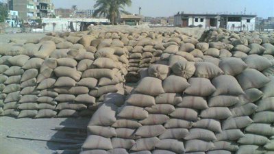 تموين القليوبية: ضبط 8300 طن قمح فاسد داخل ثلاث شون بالمحافظة