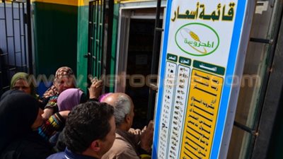 غدا.. انطلاق سيارات أوراك الدواجن المحلية بسعر 9.5 جنيهات للكيلو