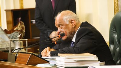 عبد العال: نتخذ إجراءات إسقاط عضوية سحر الهواري بعد بيان الحكومة