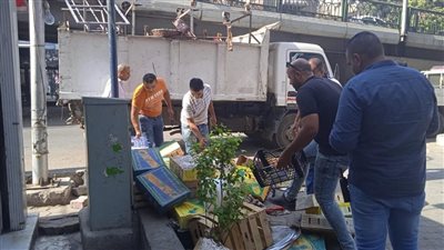 رفع 350 حالة إشغال من شوارع جنوب الجيزة..صور