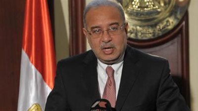 شريف إسماعيل ينسق مع رئيس حزب الحرية لتولي حقيبة وزارية