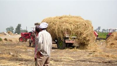 «وزارة البيئة.. تكثف جهودها للسيطرة على حرائق قش الأرز».. تحرير 691 محضرًا ضد المخالفين.. غرامة تبدأ من 5 آلاف جنيه وتصل إلى 100 ألف جنيه.. فتح 3 مواقع جديدة للجمع.. وانتهاء الموسم في 15 نوف