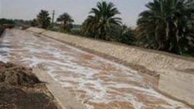 «البيئة» تنسق مع باقي الوزارت لمواجهة السيول في محافظات الصعيد