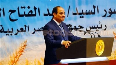 «علماء مصر» يطالب السيسي بتعديل قانون «العاملين بالدولة»