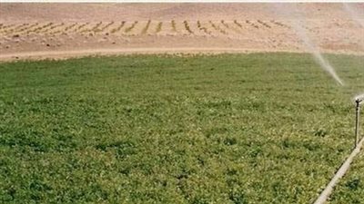 «الريف المصري»: طرح أراض من مشروع الـ1.5 مليون فدان بنظام حق الانتفاع