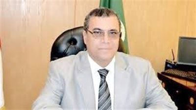 محافظ الفيوم ونائب هيئة التنمية الصناعية يبحثان إنشاء مشروعات جديدة