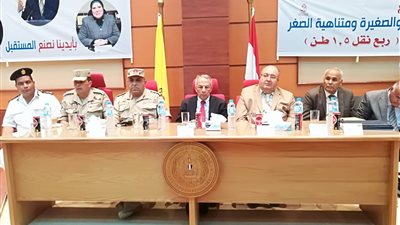 تسليم 23 سيارة ربع نقل للشباب في شمال سيناء