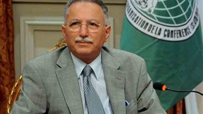 أوغلو: مصر تضطلع بدورها على أكمل وجه في إطار رئاستها للقمة الإسلامية