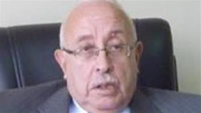 منيسى: دول الخليج لن تقبل بفتح مقرات انتخابية للمصريين