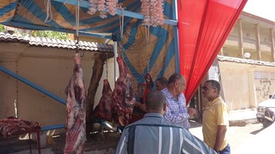 ننشر أسعار اللحوم في 38 منفذًا بالمحافظات قبل عيد الأضحى