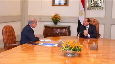 السيسي يطالب الحكومة بالاستمرار في تنفيذ المشروعات التنموية