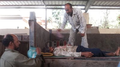 عمال النظافة بالدقهلية: مضربون عن الطعام لحين صرف رواتبنا(فيديو)