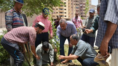محافظ الجيزة يشارك في مبادرة 1000 شجرة بإمبابة (صور)