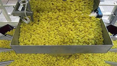 ضبط طن مكرونة مغشوشة بمصنع في الغربية