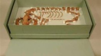 طرق كشف هوية المومياوات والهياكل العظمية الأثرية.. كربون 14 للتعرف على تاريخ الآثار العضوية.. التحليل باستخدام الأشعة تحت الحمراء وفوق البنفسجية والفحص الميكروسكوبي.. وتحليل DNA الأبرز