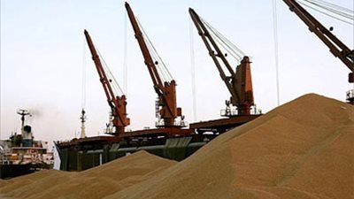 «الأخرس» يطالب بضوابط عند التعاقد لاستيراد القمح من الخارج