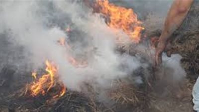 الحماية المدنية بالإسكندرية تسيطر على حريق بـ«منحل عسل»