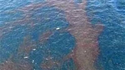 شفط بقعة زيتية في نهر النيل بأسوان