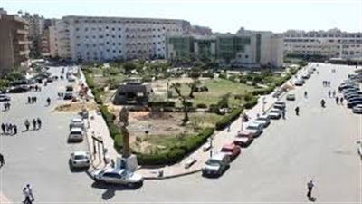 مجلس جامعة بنى سويف يكرم الموظفين المحالين على المعاش