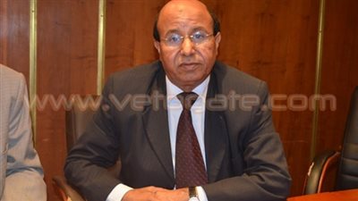 الثلاثاء.. عمومية غير عادية لشعبة إلحاق العمالة بالجيزة