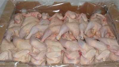 طرح 6 أطنان من أوراك الدواجن بسعر 9.5 جنيهات للكيلو بالجيزة