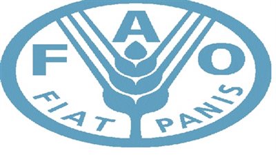 الممثل الإقليمي للفاو: مصر تحقق تقدمًا كبيرًا في استخدام المياه بالزراعة