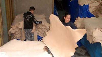 السمالوطي: نستورد منتجات جلدية بـ120 مليون دولار