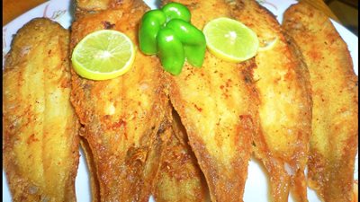 قريبًا.. الأسماك تقدم علاجًا فعالًا لنزلات البرد