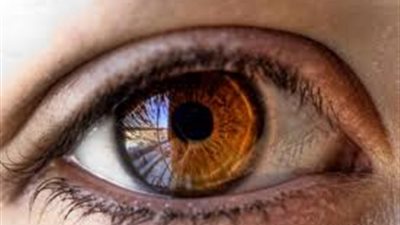 معهد العيون يستقبل 