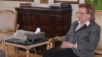 الأهواني: لا توجد أي مفاوضات حول قرض جديد من صندوق النقد