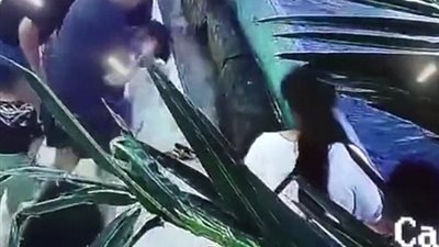 قرش يقفز من المياه ويعض يد فتاة (فيديو وصور)