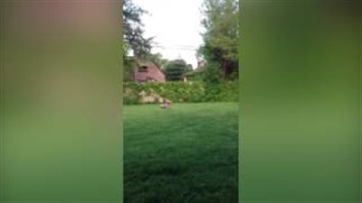 بالفيديو.. سقوط مؤلم لطفل حاول تسديد هدف