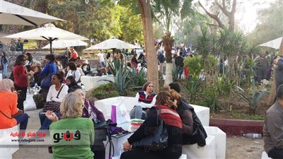 بالفيديو والصور.. 