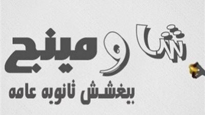 بدء أولى جلسات الاستئناف على حبس أدمن صفحة «شاومينج»
