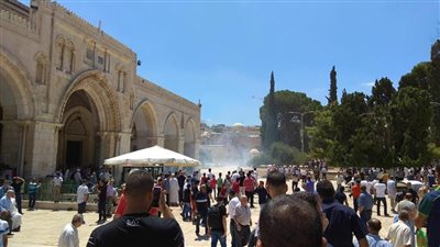 مستوطنون يحرقون منزلا وحقول قمح الفلسطينيين جنوب نابلس